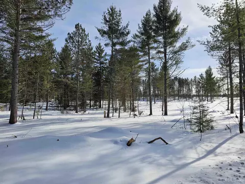 tbd 220 Acres Off Co Rd Cf, Ishpeming, MI 49849