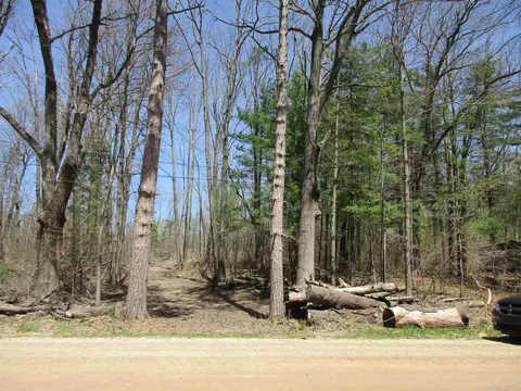 007-019 300-12 Clarence Rd, Harrison, MI 48625