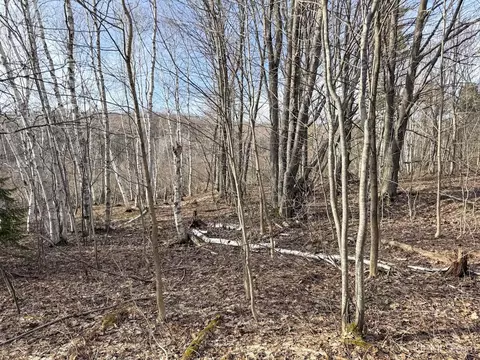 lot D Mohawk Gay, Mohawk, MI 49950 photo 15