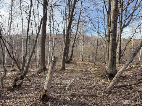 lot D Mohawk Gay, Mohawk, MI 49950 photo 3
