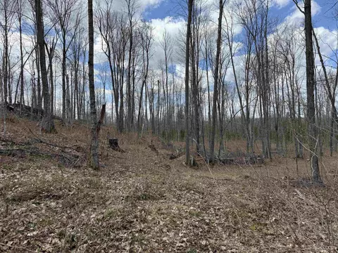 tbd NE Dogpatch, L'anse, MI 49946 photo 14