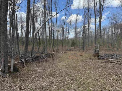 tbd NE Dogpatch, L'anse, MI 49946 photo 15