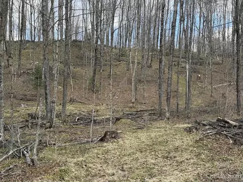 tbd NE Dogpatch, L'anse, MI 49946 photo 18