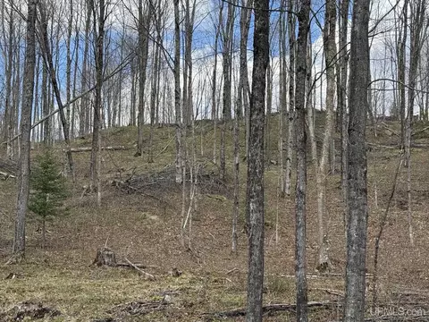 tbd NE Dogpatch, L'anse, MI 49946 photo 19