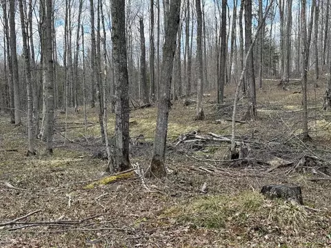 tbd NE Dogpatch, L'anse, MI 49946 photo 20