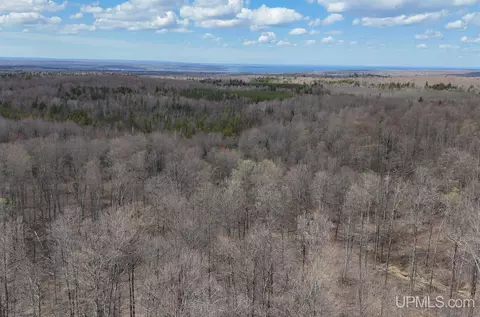 tbd NE Dogpatch, L'anse, MI 49946 photo 4