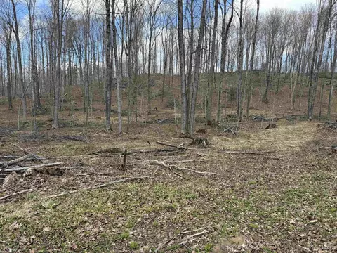 tbd NE Dogpatch, L'anse, MI 49946 photo 17