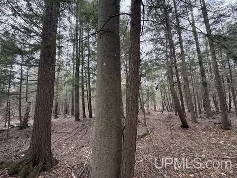 tbd K, Bark River, MI 49807 photo 8