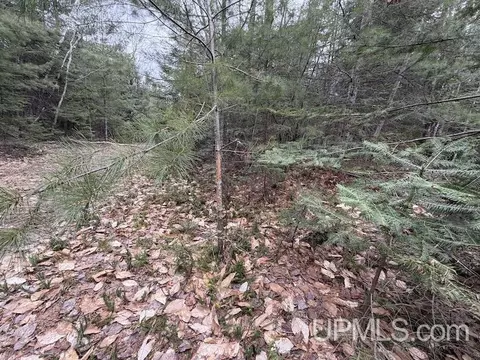 tbd K, Bark River, MI 49807 photo 5