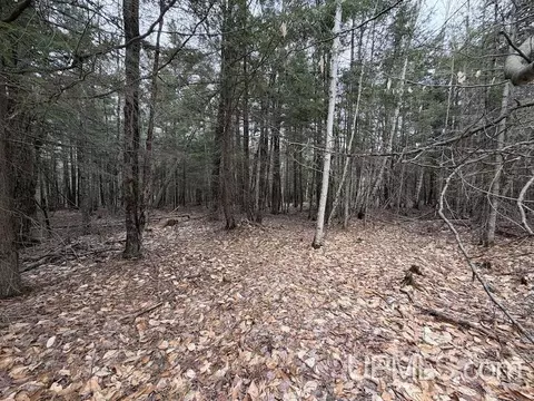 tbd K, Bark River, MI 49807 photo 6