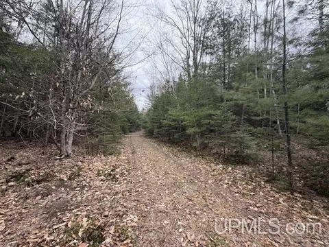 tbd K, Bark River, MI 49807 photo 4