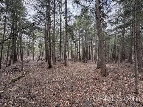 tbd K, Bark River, MI 49807 photo 3