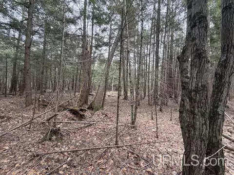 tbd K, Bark River, MI 49807