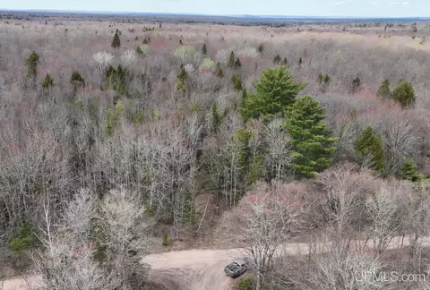 9693 N Light Blue, Pelkie, MI 49958