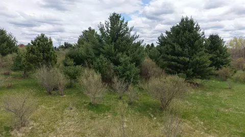 Track Iron, Gladwin, MI 48624