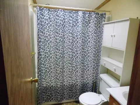 Bath - 8901 E Ashard, Clare, MI 48617 photo 4 of 4