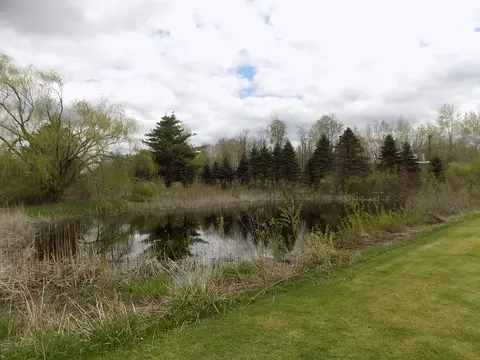 Other - 8901 E Ashard, Clare, MI 48617 photo 3 of 10