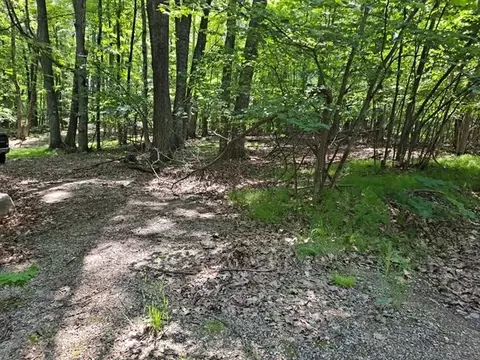 2145 Elkhorn Way, Farwell, MI 48622