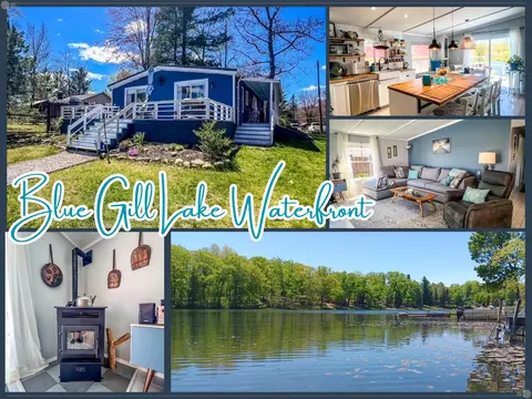791 Blue Gill Lk, Harrison, MI 48625