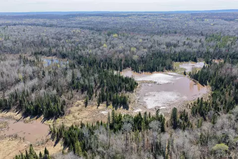 tbd Burma, Ewen, MI 49925