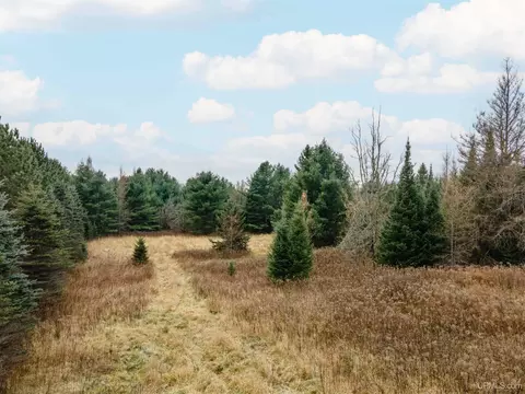 200 Olson Loop, Iron River, MI 49935 photo 4