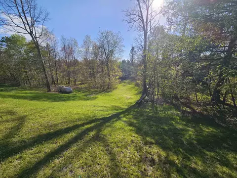 Exterior - 335 Pine, Harrison, MI 48625 photo 12 of 15