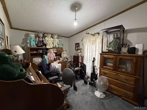 Other - e9716 Old Indiantown Road, Munising, MI 49862 photo 1 of 4
