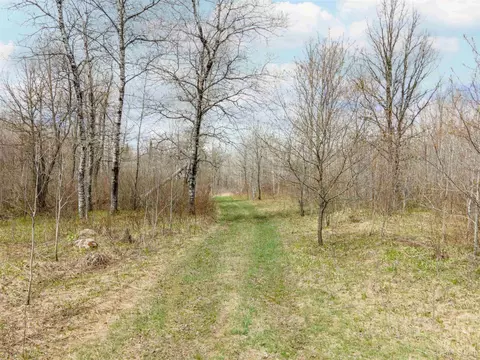 10433 Easement #LOT 3, Tipler T-wi, WI 54542 photo 17
