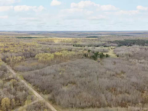 10433 Easement #LOT 3, Tipler T-wi, WI 54542 photo 22