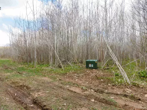 10433 Easement #LOT 3, Tipler T-wi, WI 54542 photo 11