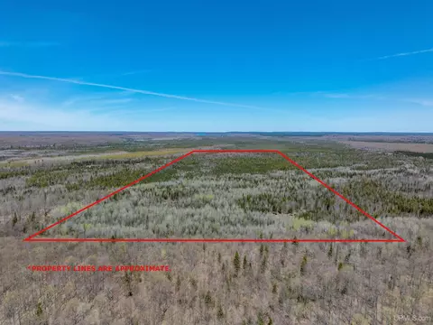 E4291 Walleye Rd, Limestone, MI 49816 photo 10