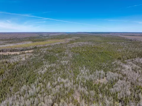 E4291 Walleye Rd, Limestone, MI 49816 photo 19