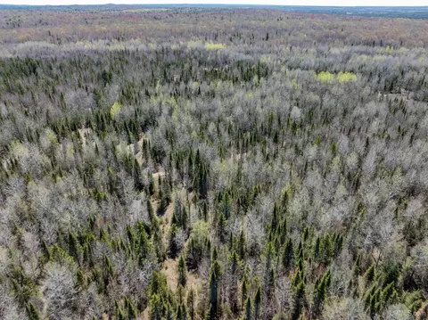 E4291 Walleye Rd, Limestone, MI 49816 photo 32