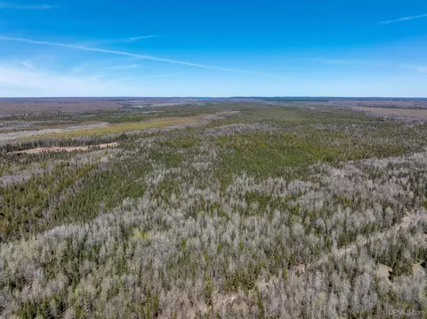 E4291 Walleye Rd, Limestone, MI 49816 photo 17