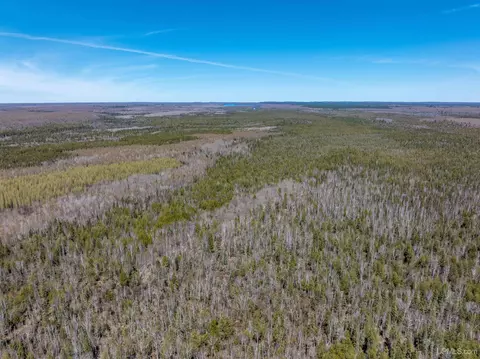 E4291 Walleye Rd, Limestone, MI 49816 photo 26