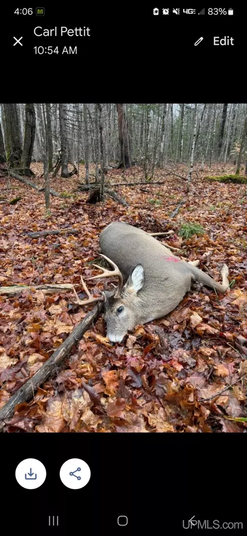 E4291 Walleye Rd, Limestone, MI 49816 photo 51