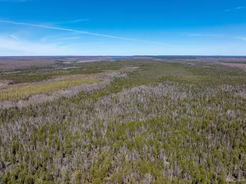 E4291 Walleye Rd, Limestone, MI 49816 photo 24
