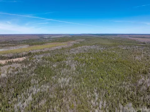 E4291 Walleye Rd, Limestone, MI 49816 photo 21