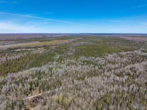 E4291 Walleye Rd, Limestone, MI 49816 photo 16