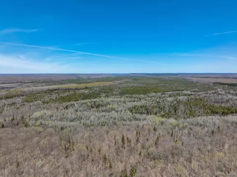E4291 Walleye Rd, Limestone, MI 49816 photo 9
