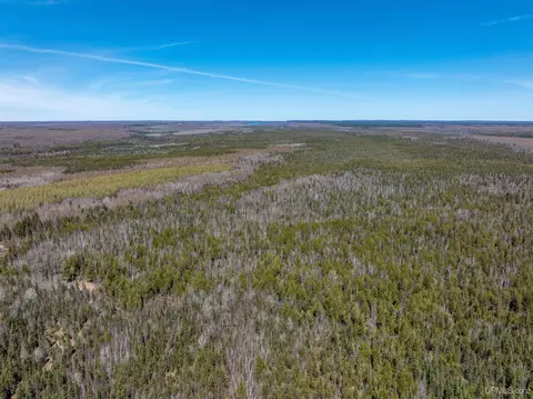 E4291 Walleye Rd, Limestone, MI 49816 photo 23