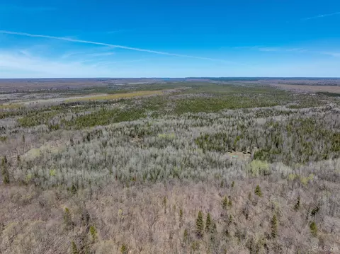 E4291 Walleye Rd, Limestone, MI 49816 photo 12