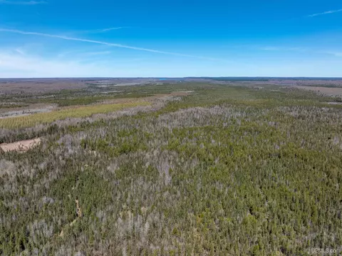 E4291 Walleye Rd, Limestone, MI 49816 photo 22