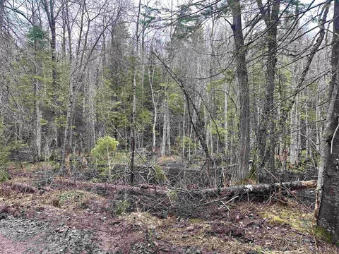 tbd Forestville Co Rd Hts #CO RD HT, Marquette, MI 49855
