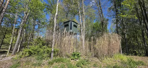 15252 27 Mile, Albion, MI 49224