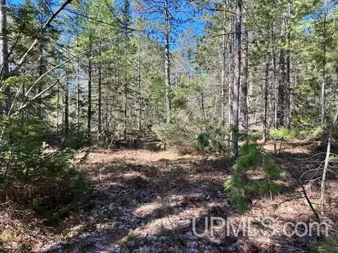 Unit 61 Little Rice Lake, Lake Linden, MI 49945