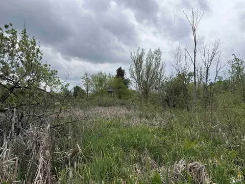 1 Clark Burt, Frontier, MI 49239 photo 2