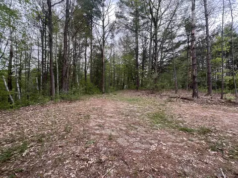 8919 E Gladwin, Harrison, MI 48624 photo 2