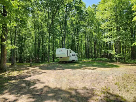 4239 White Birch, Farwell, MI 48622