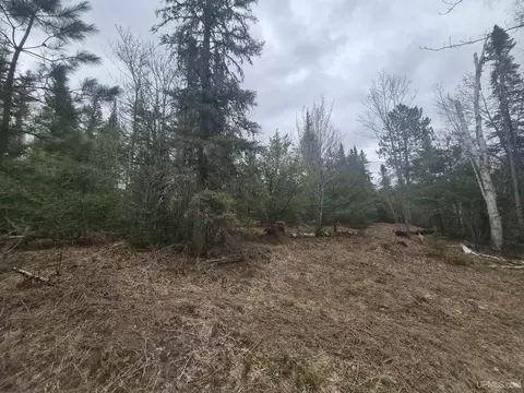 Other - 13551 County Road Cs, Ishpeming, MI 49849 photo 15 of 22